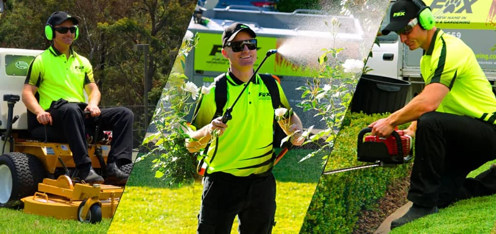 fox mowing banner
