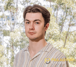 mark - paladine systems software developer