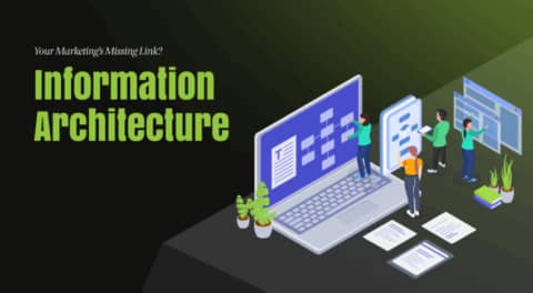 Information Architecture Feature Image