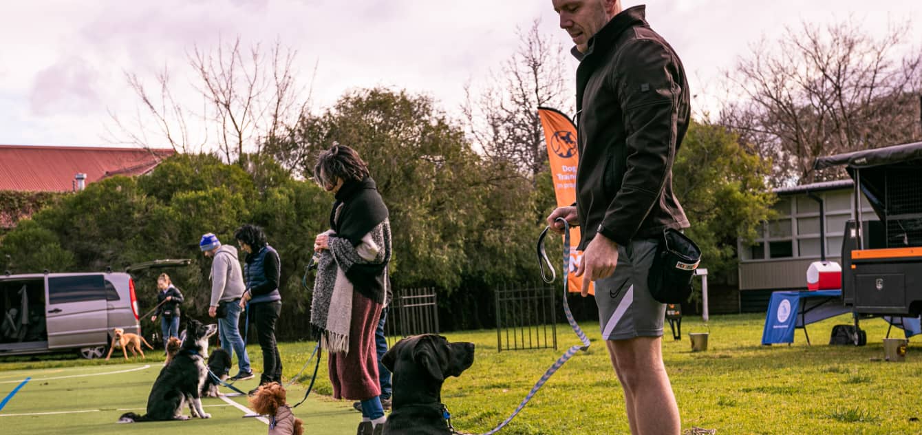 melbourne dog trainers banner