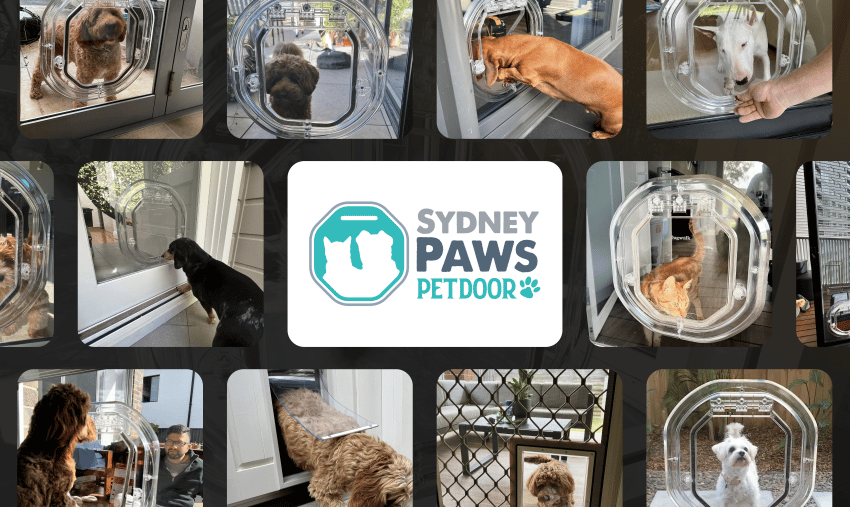 sydney paws doggos