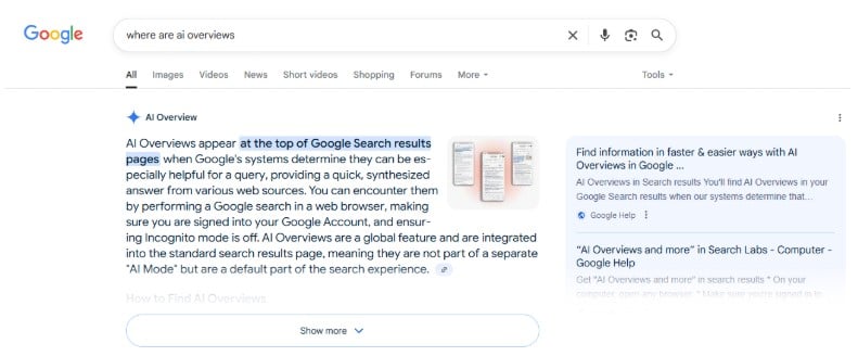 ai overview search result