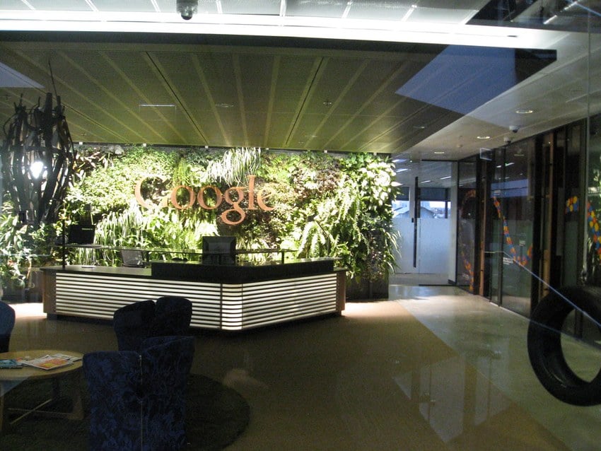 the living wall and copper google logo in the sydney reception at workplace6, photographed august 2009 with moving boxes still beside the desk.