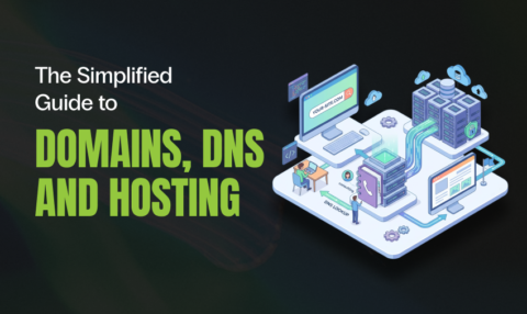 Domain Resource Feature Asset