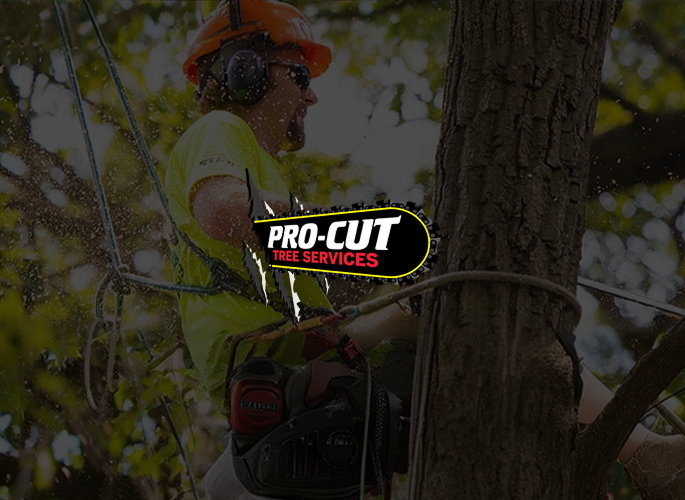 Pro-Cut Tree Services